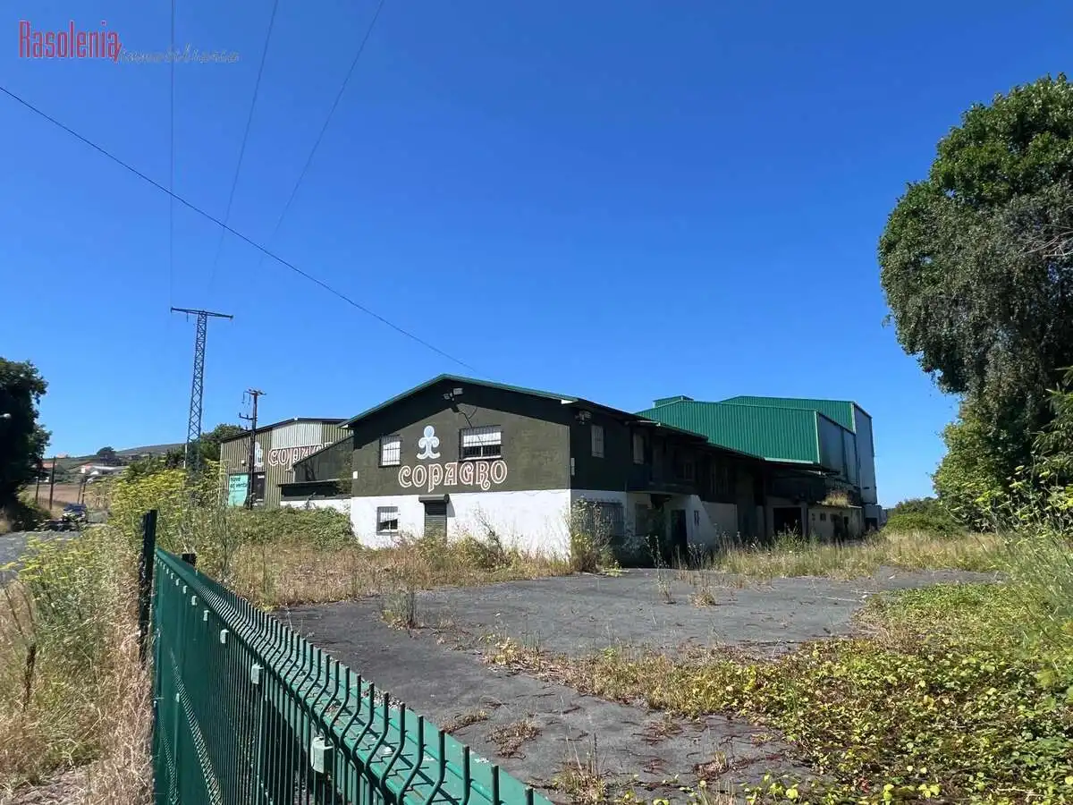 Industriegebäude zum Verkauf in Ribo 6