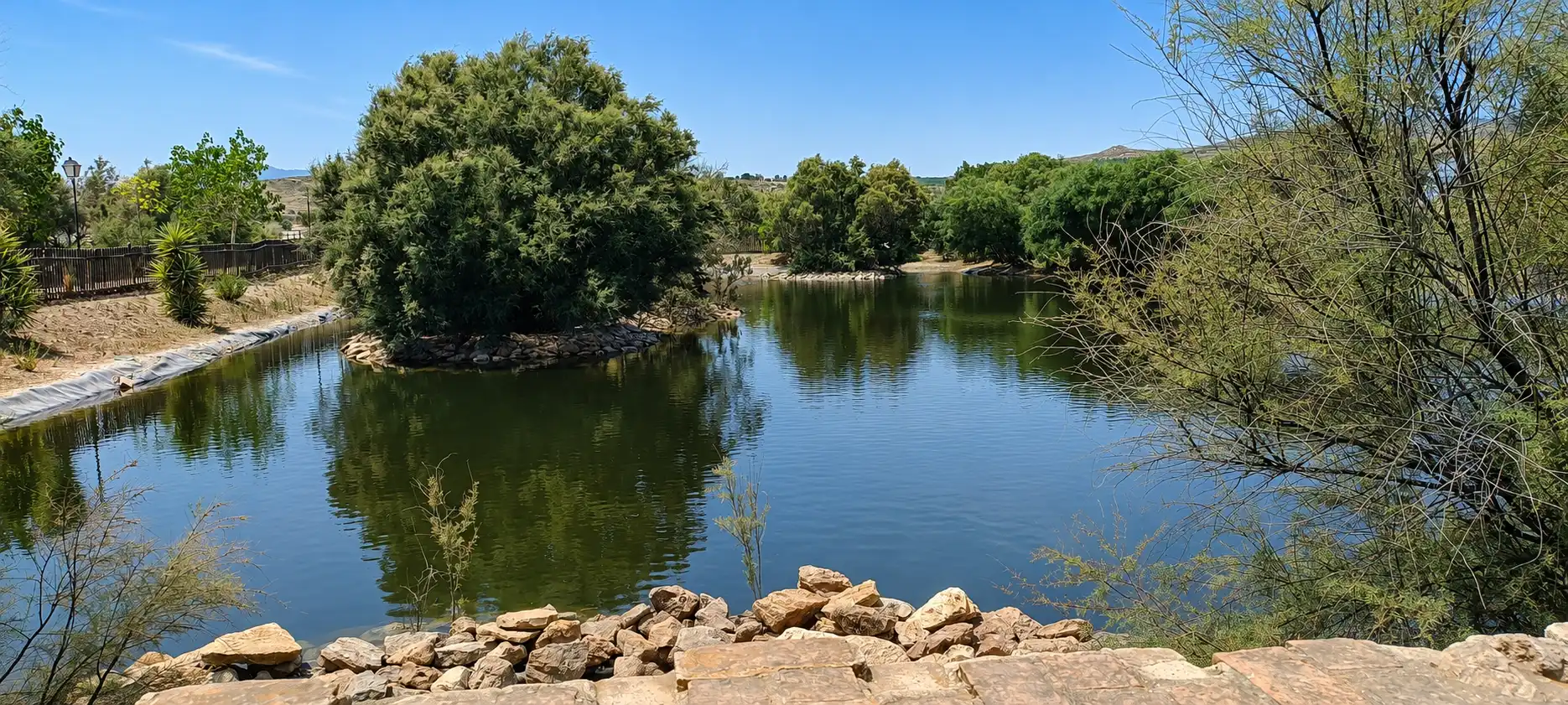Vista exterior de Casa o xalet en venda en Los Gallardos amb Jardí privat i Piscina