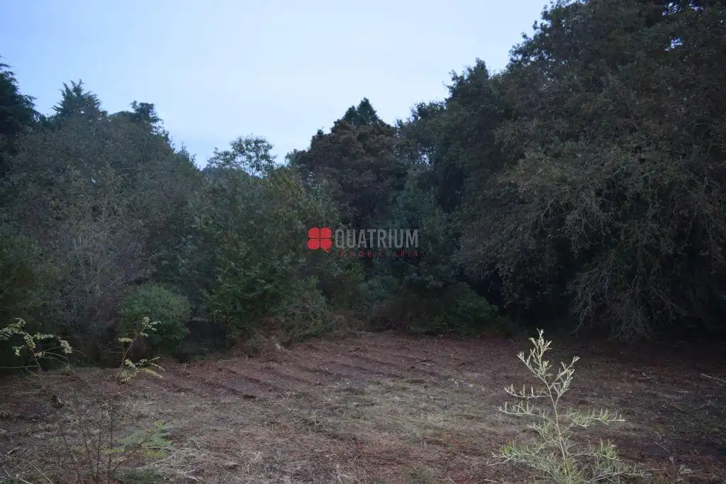 Casa o chalet en venta en Santiago de Compostela  con Jardín privado