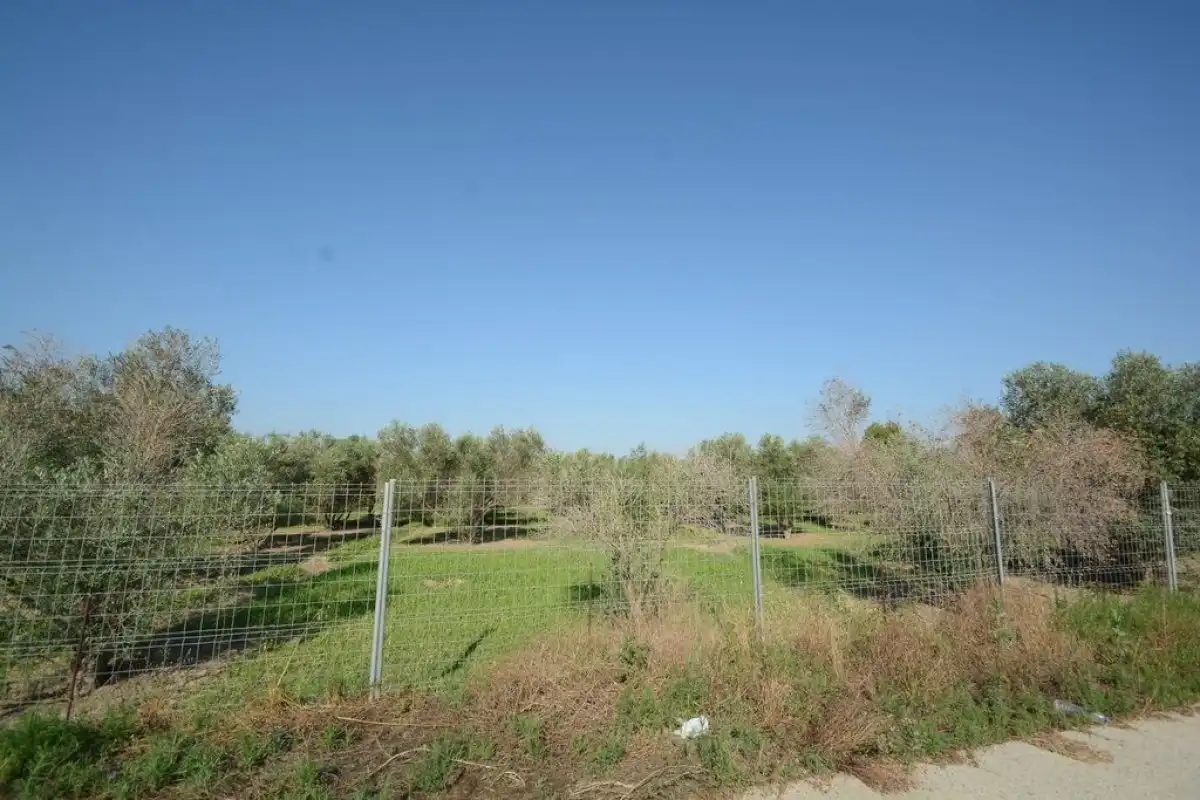 Casa rústica en venta en Molins - Campaneta - San Bartolomé, imagen 28