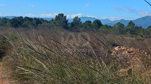 Photo 5 of Land for sale in Aviles, Lorca