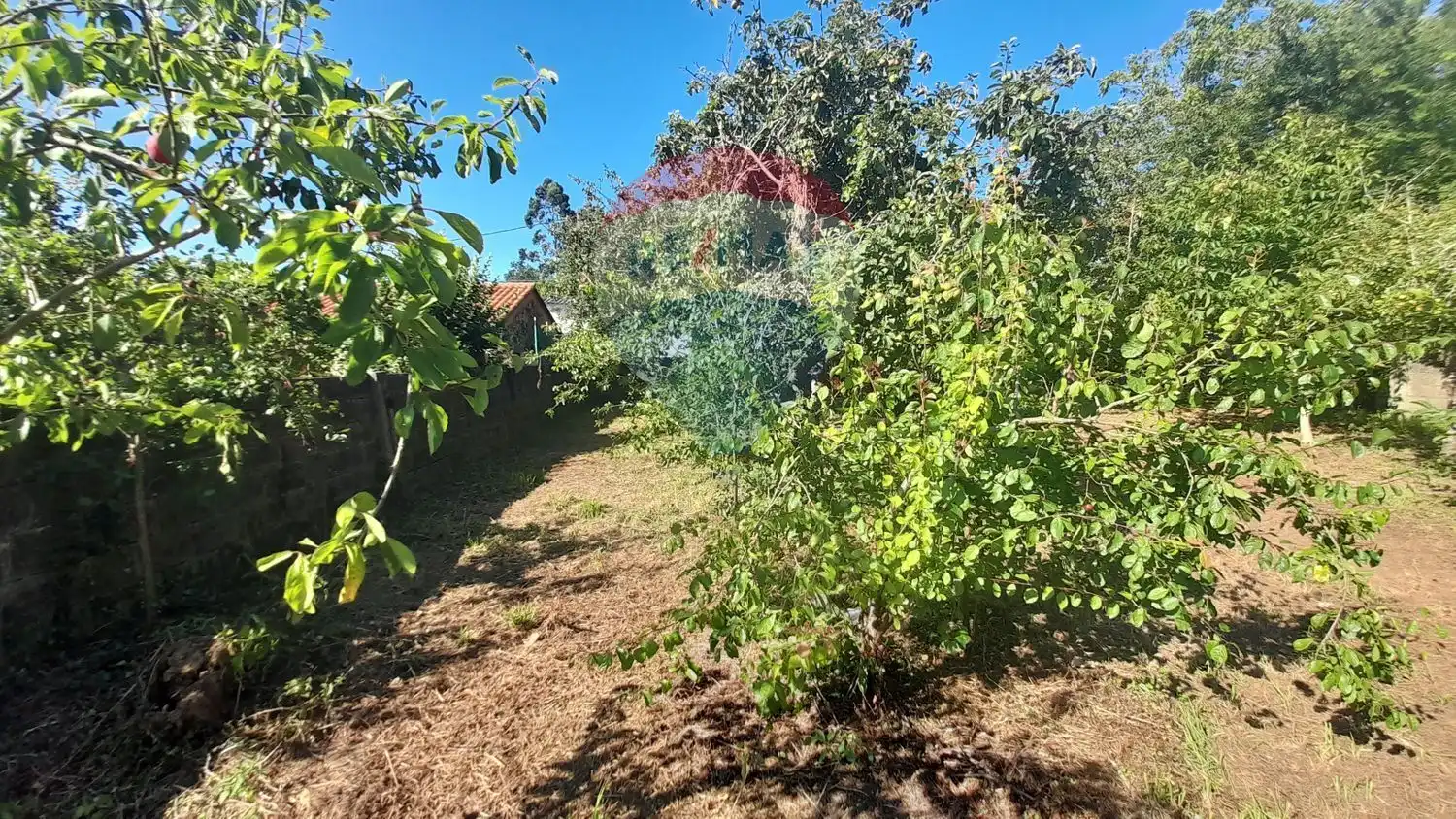 Rural land for sale in Aldea Seixeda 0, imagen 10