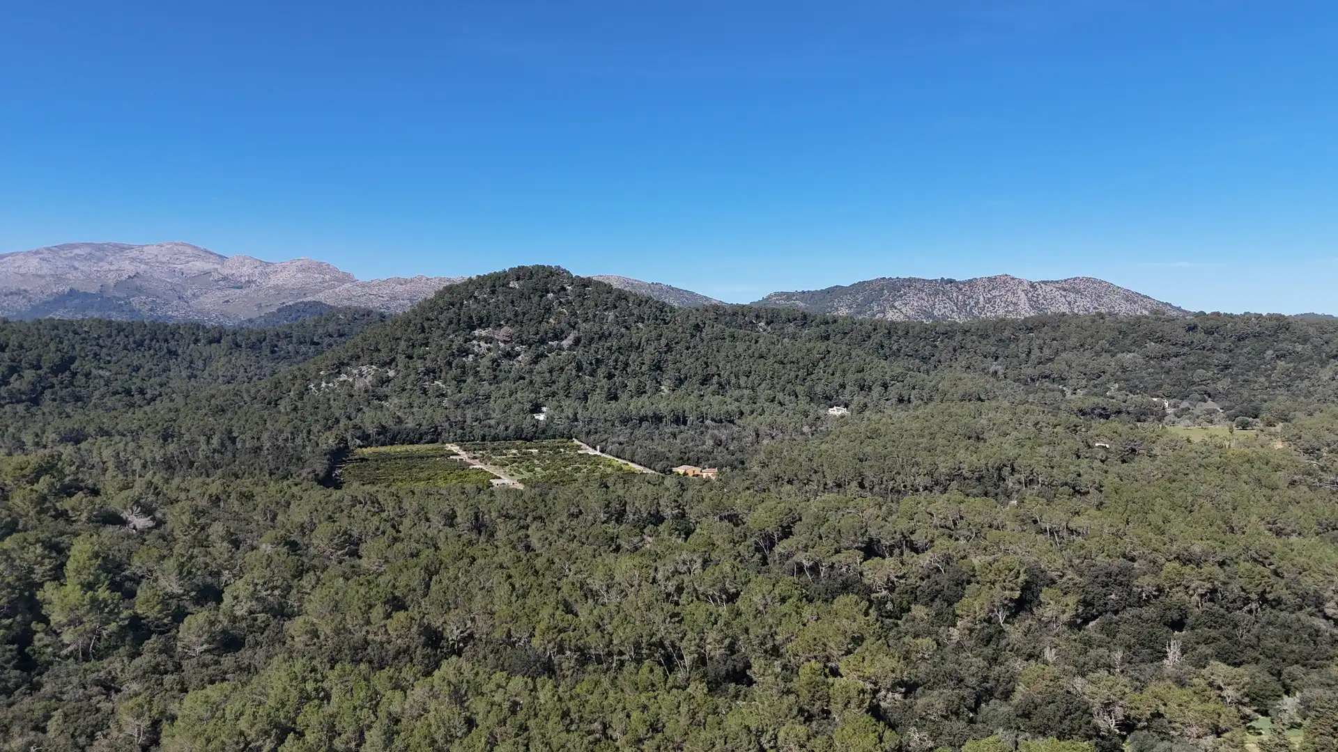 Terrenys i solars en venda a Sa Pobla, imagen 17
