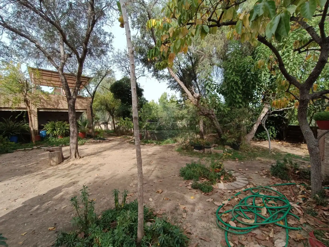 Terreno residenziale in vendita a Campolivar, imagen 2