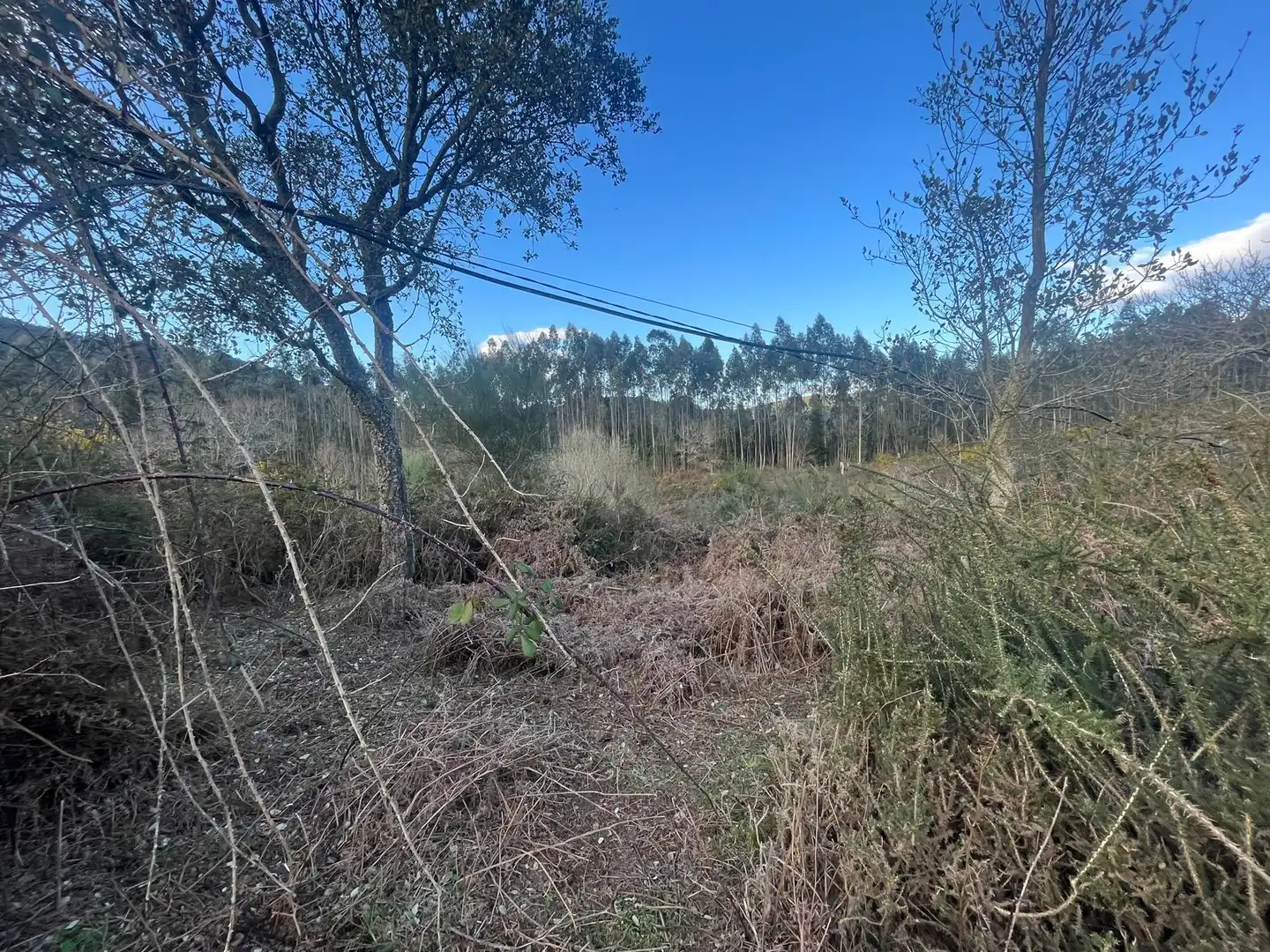 Terreno rustico in vendita a O Rosal, imagen 20
