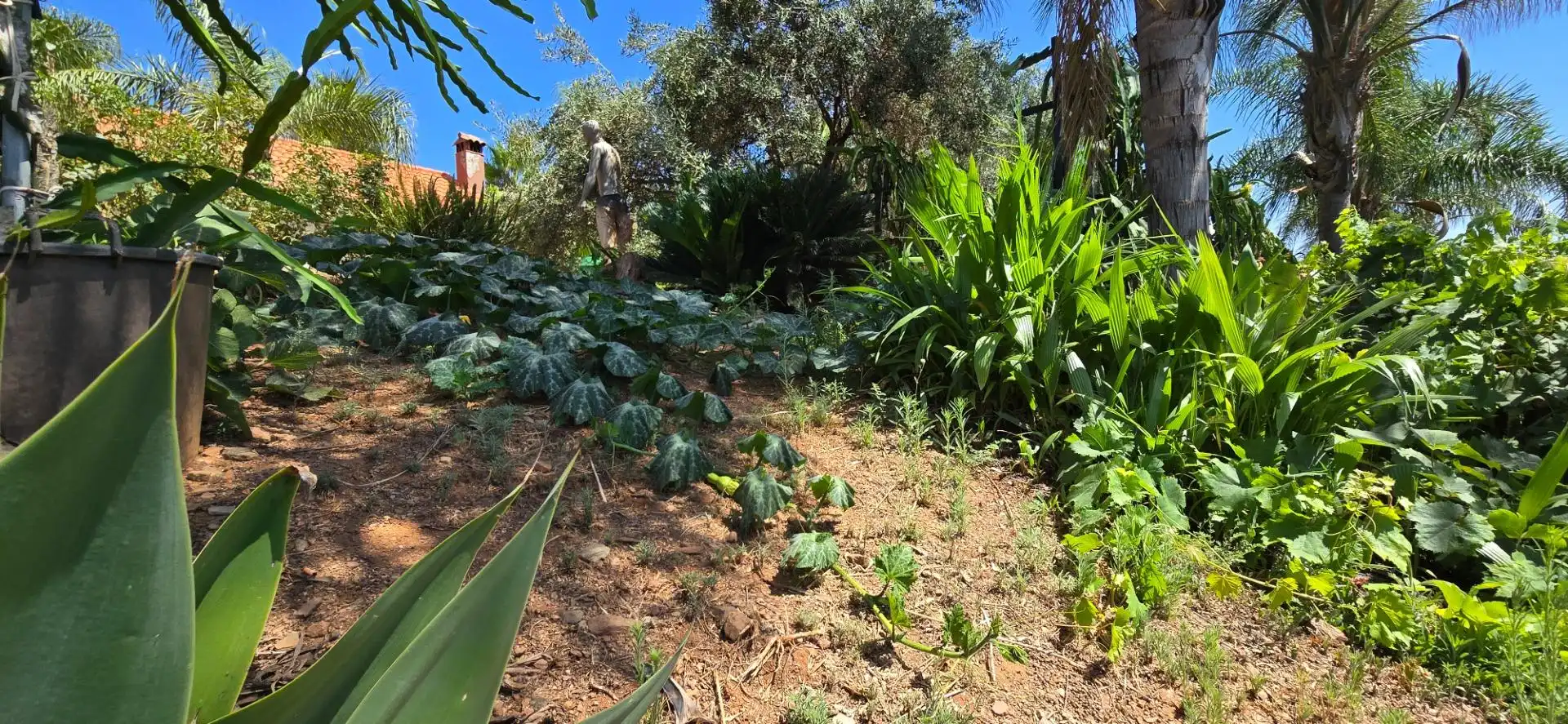 Jardí de Casa o xalet en venda en Guaro amb Aire condicionat, Jardí privat i Moblat