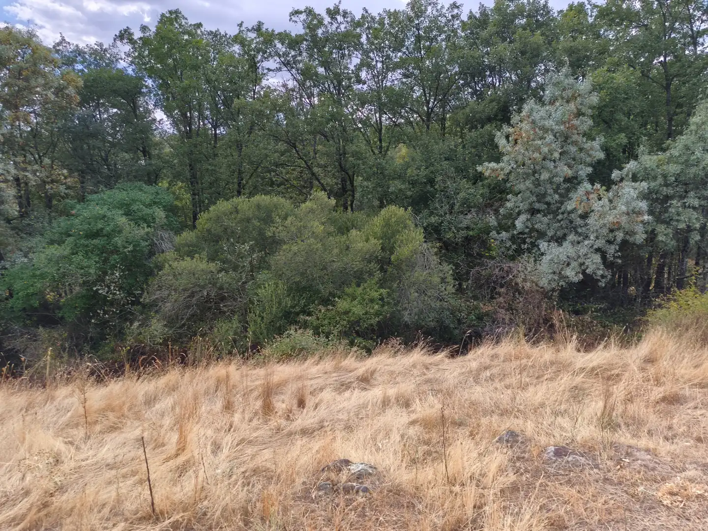 Terreno en venta en Piñuécar-Gandullas
