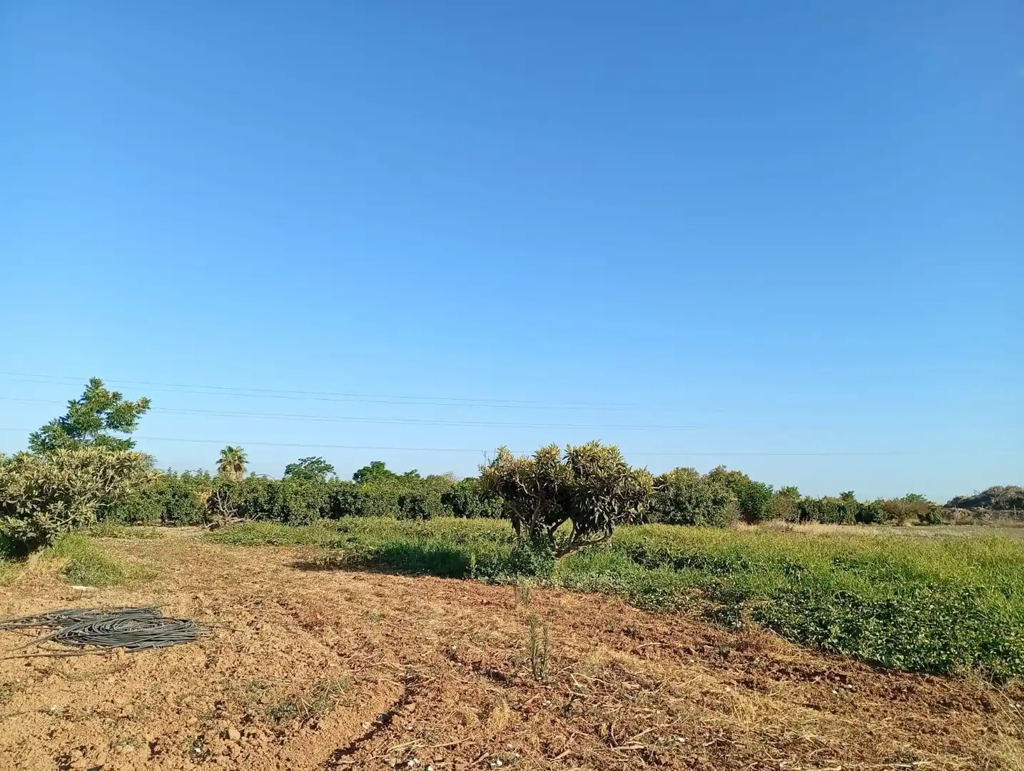 Residencial en venda en Sevilla