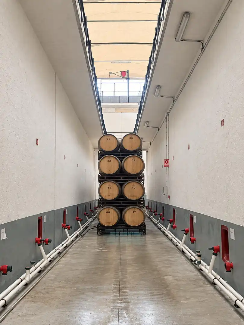 Nave industrielle à vendre à Subirats, imagen 12