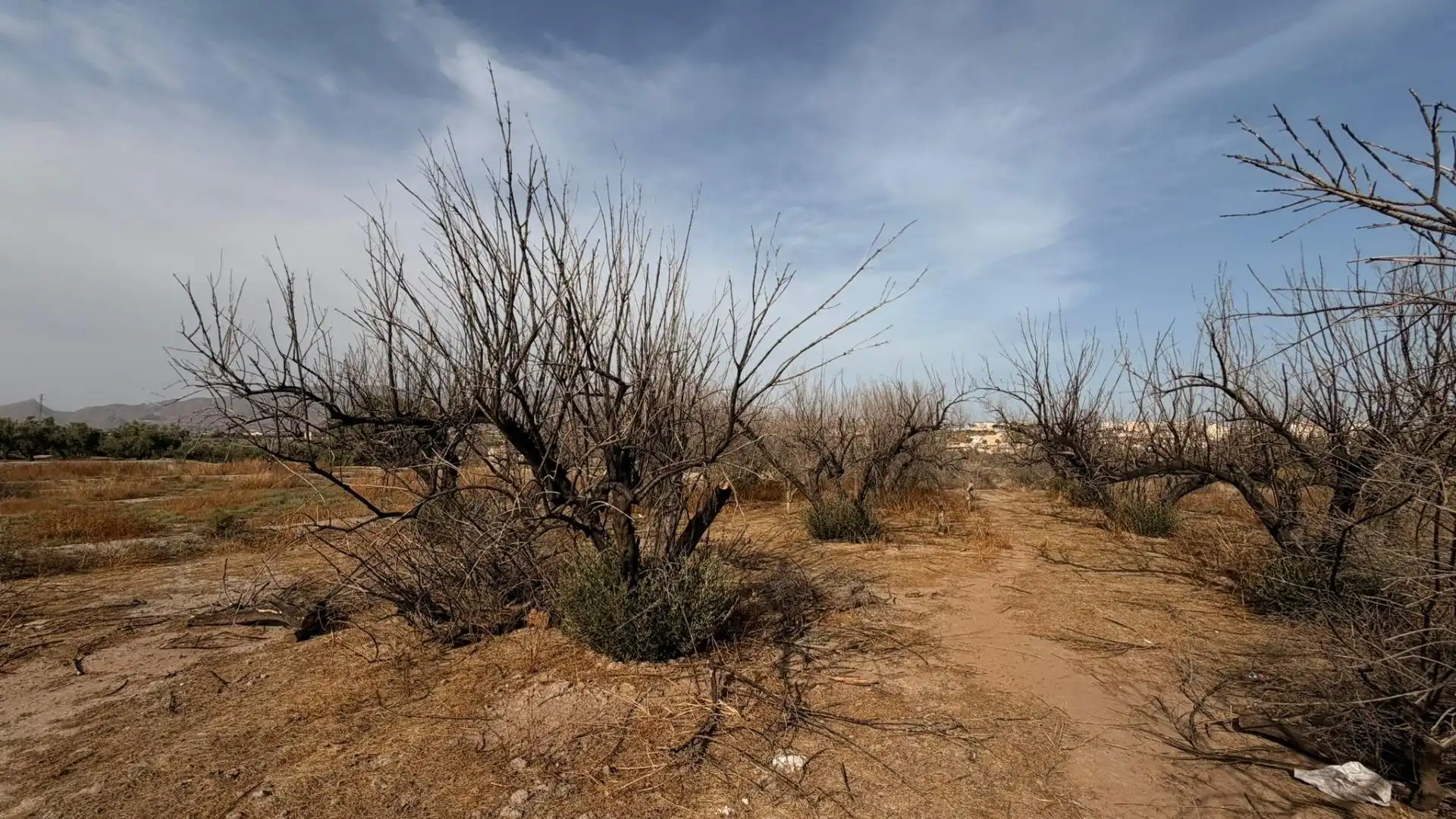 Terreny rústic en venda a Huércal de Almería 5, imagen 8