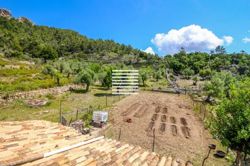 Jardín de Casa o chalet en venta en Escorca con Trastero