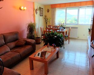 Living room of Flat for sale in Sabiñánigo  with Heating, Terrace and Storage room