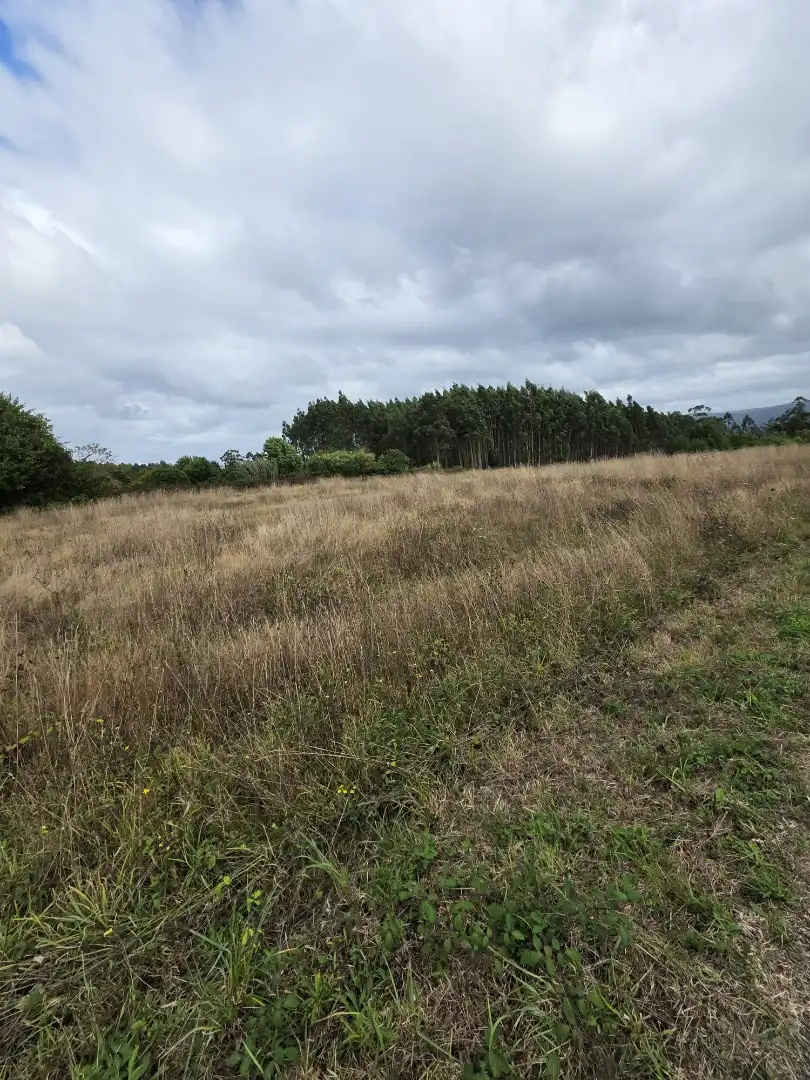 Wohnbaugrundstück zum Verkauf in San Sadurniño, imagen 20