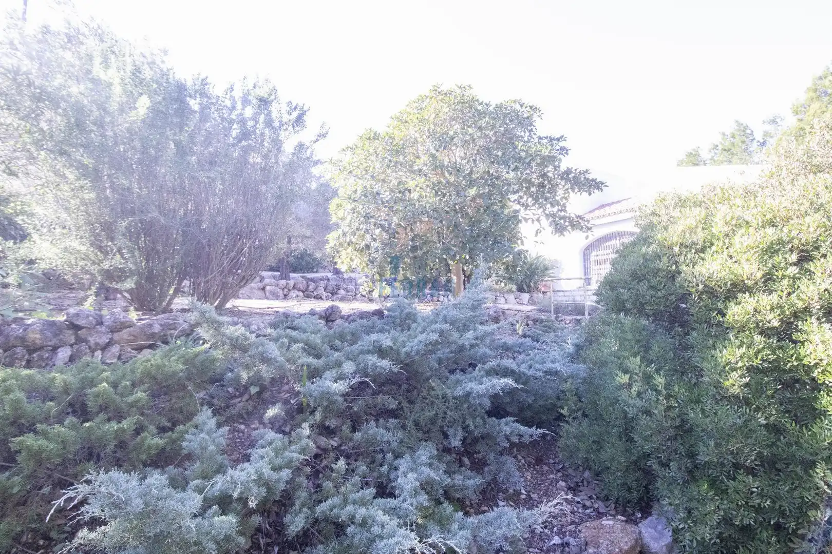 Jardí de Casa o xalet en venda en L'Ametlla de Mar  amb Calefacció, Terrassa i Traster