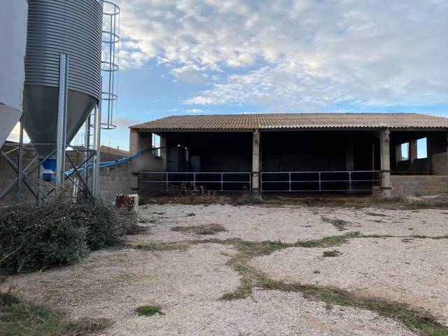 Nave industrial en Venta en Tornos