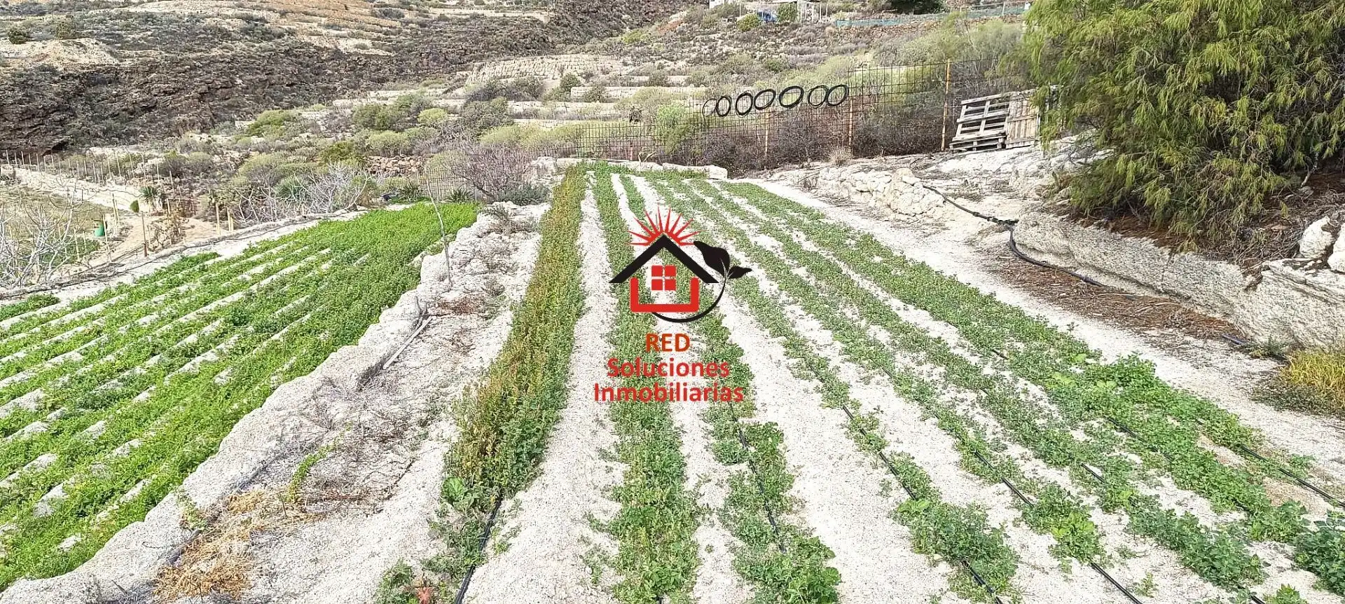 Rural land for sale in LOMO DEL BUENO, imagen 9