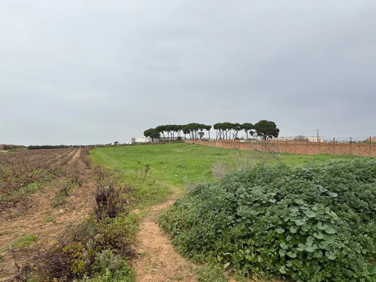 Terrenys i solars en venda a Bollullos Par del Condado, imagen 3