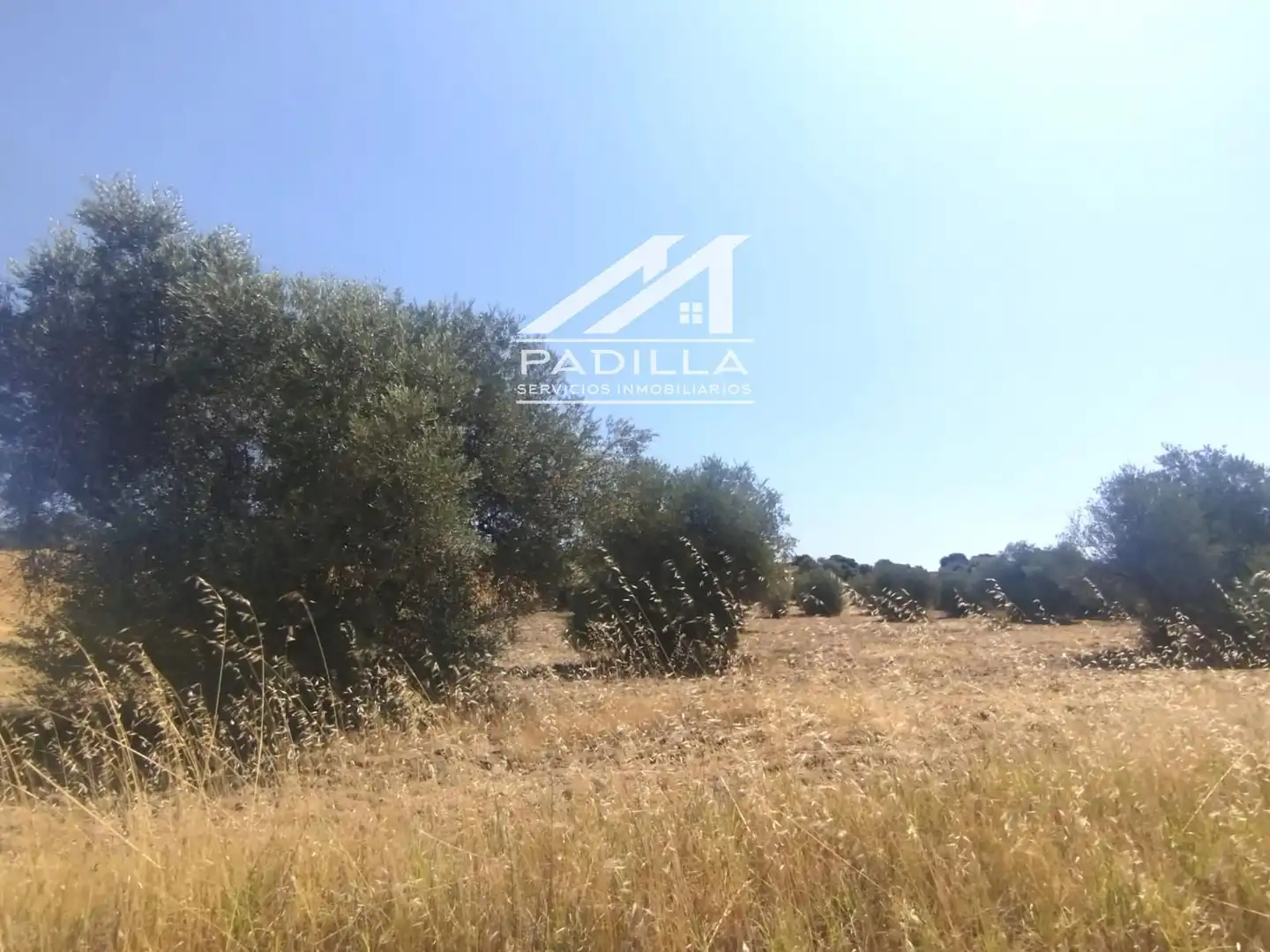 Terrain rustique à vendre à N/A, imagen 11