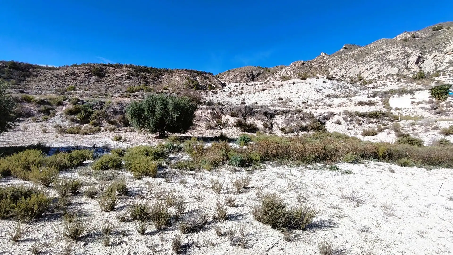 Rural land for sale in Fortuna, imagen 9