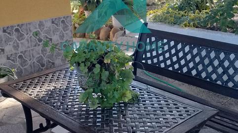 Photo 4 of House or chalet for sale in Casas de Miravete, Cáceres