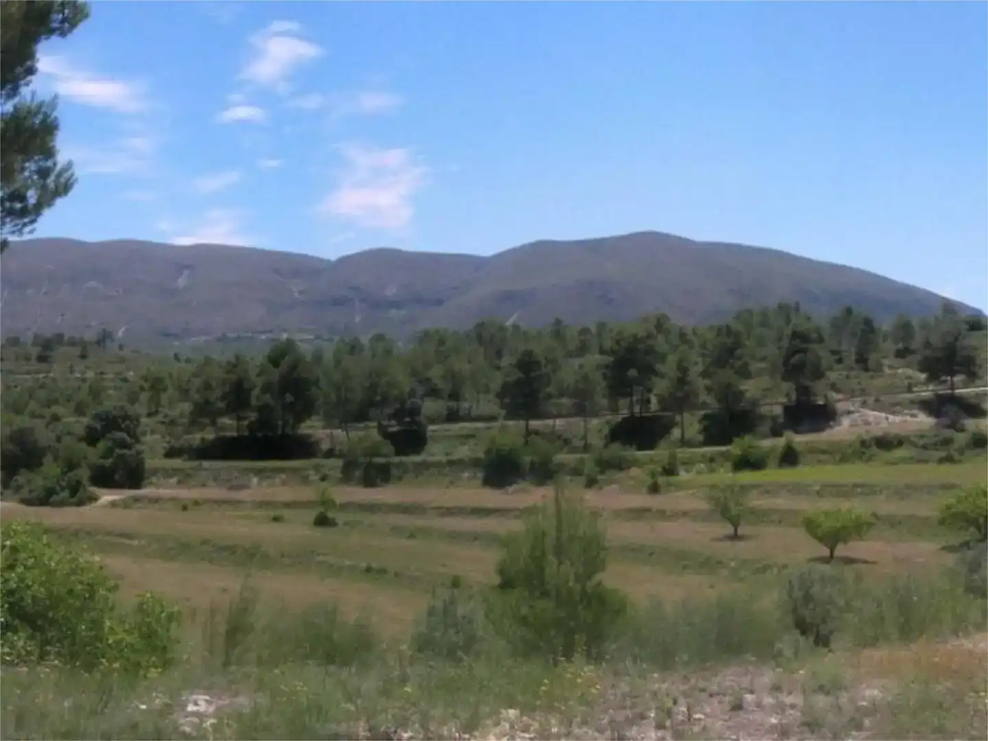Land for sale in Planes