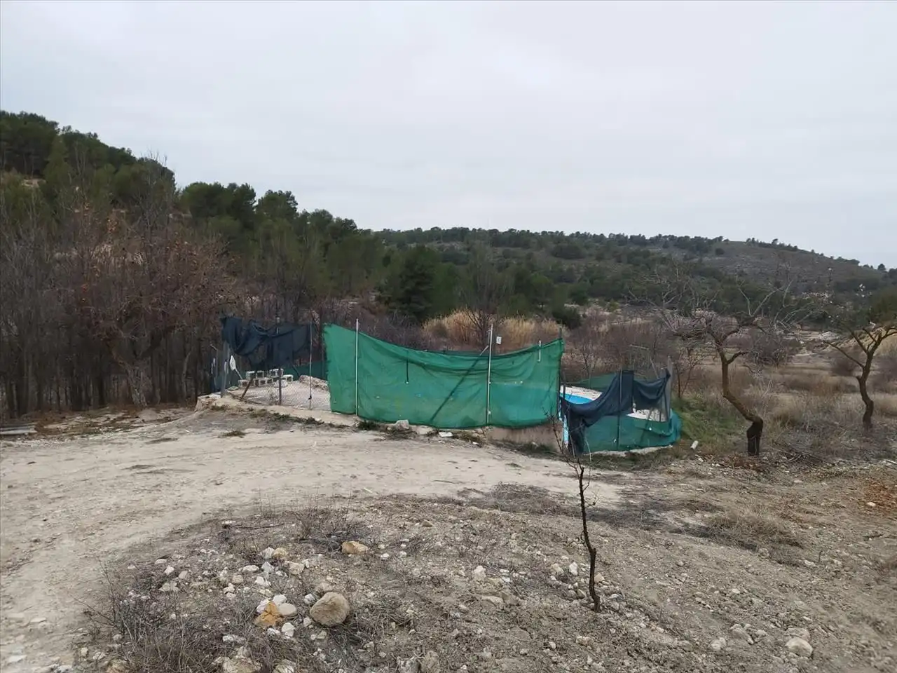 Land for sale in Jumilla