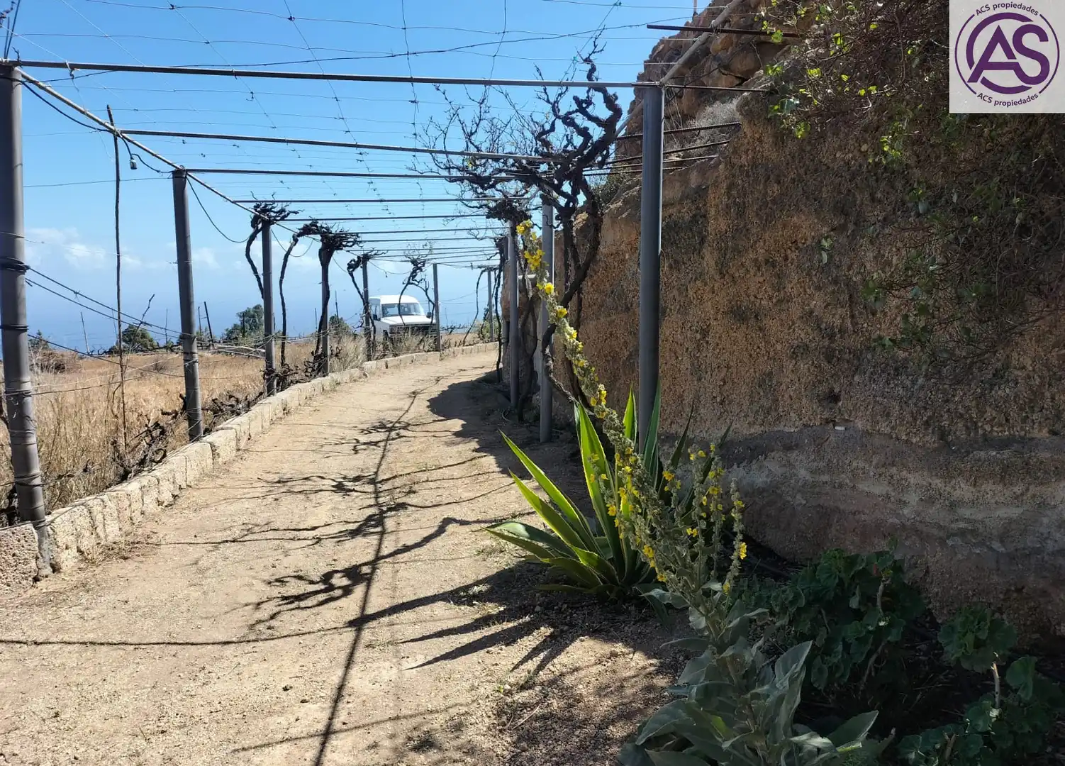 Vista exterior de Finca rústica en venta en Fasnia