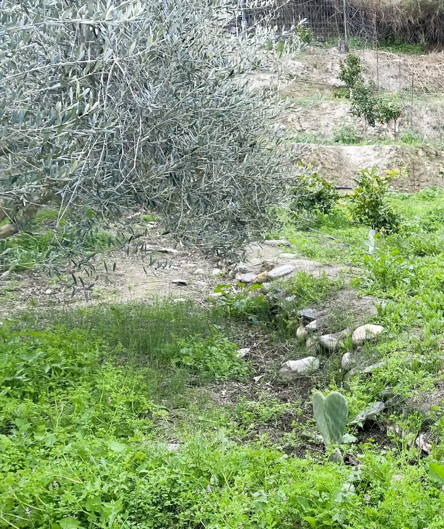 Rustikales Grundstück zum Verkauf in Benahadux, imagen 3