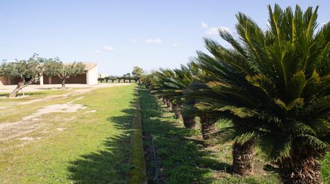 Foto 3 de Casa o chalet en venta en Inca - Carrer del Rei, Alaró, Illes Balears