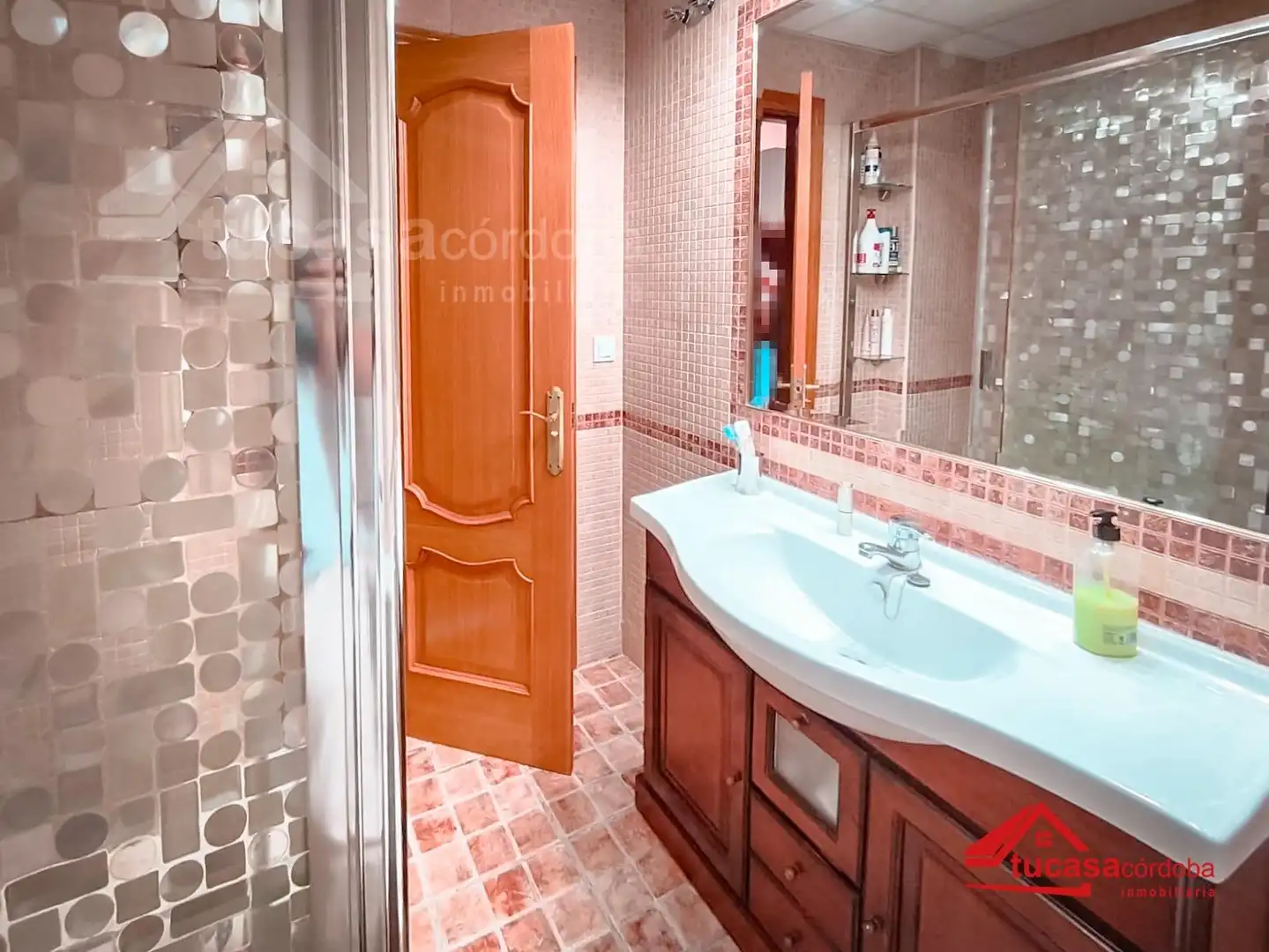 Bathroom of Houses for sale in Córdoba  with Air Conditioner, Terrace and Storage room