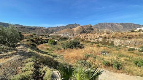 Se Vende Parcela en  Terque Pueblo. Bajada de precio!!, immagine 4