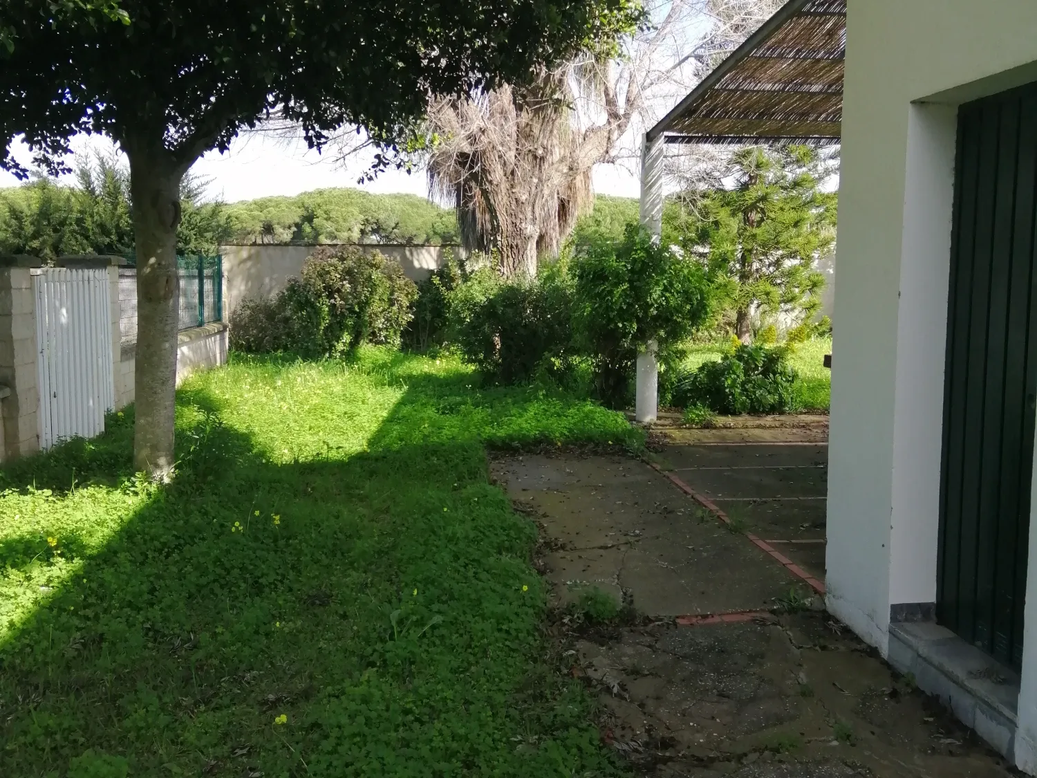 Jardí de Casa o xalet en venda en Conil de la Frontera amb Aire condicionat, Jardí privat i Traster