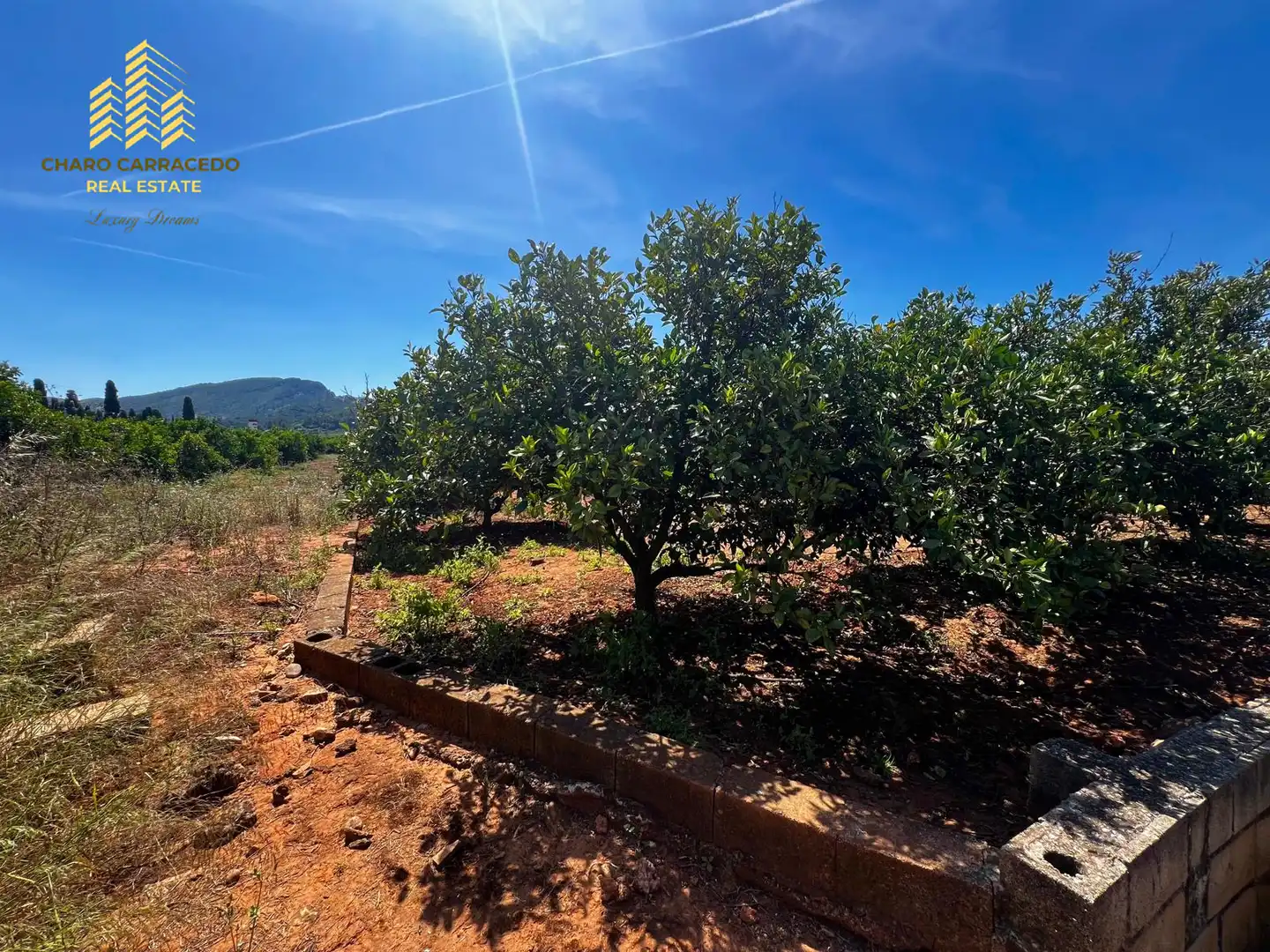Terreno rústico en venta en Camí de la Murta-Ombria, imagen 13