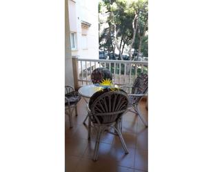 Garden of Apartment to rent in Torrevieja  with Air Conditioner, Swimming Pool and Balcony