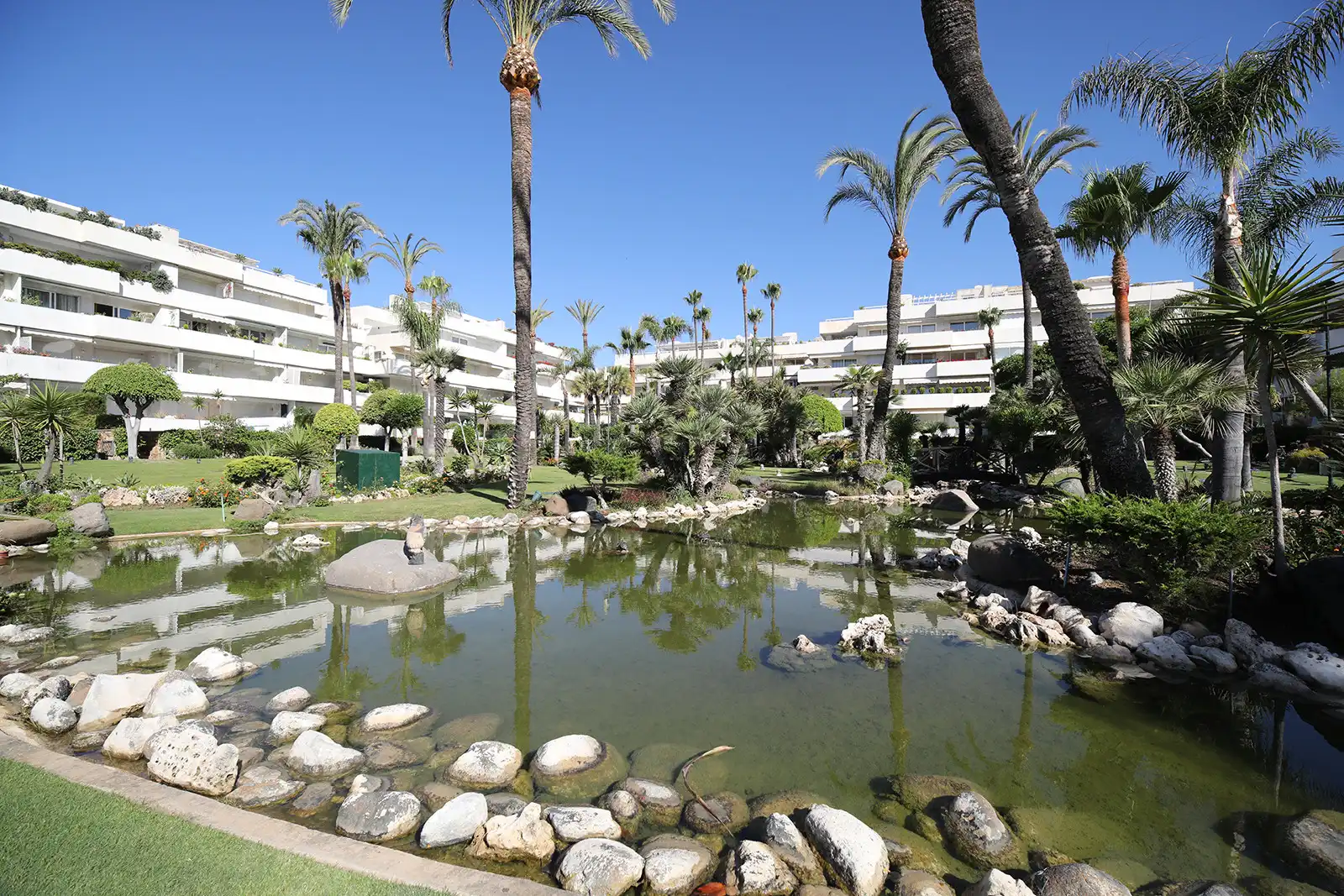 Apartments for rent in Ricardo Soriano