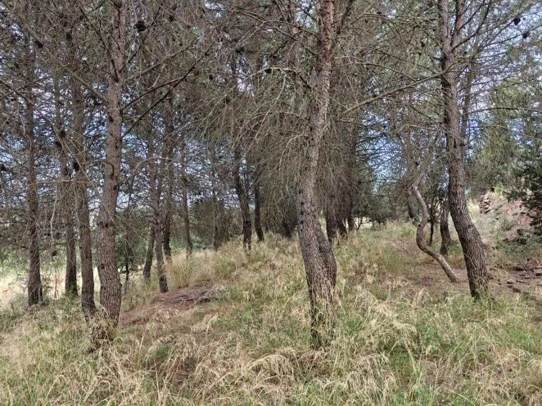 Terreno en venta en Manresa