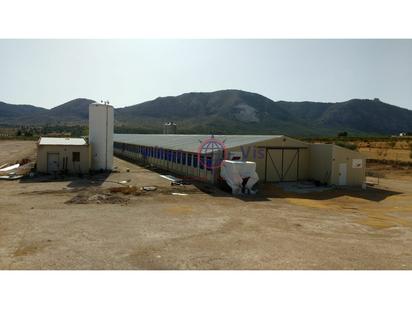 Vista exterior de Finca rústica en venda en Lorca