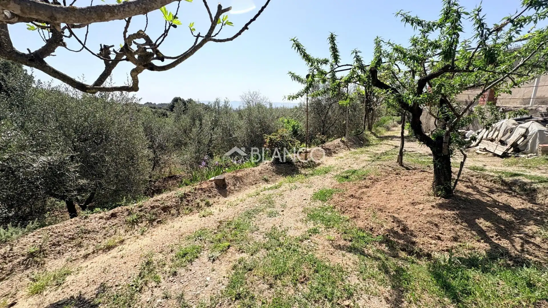 Casa o xalet en venda en Piera amb Jardí privat