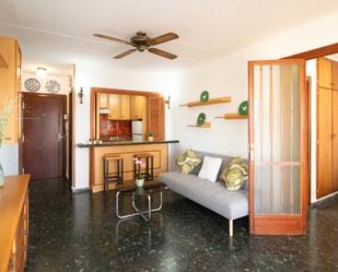 Sala d'estar de Apartament de lloguer en La Pobla de Farnals amb Moblat, Forn i Rentadora