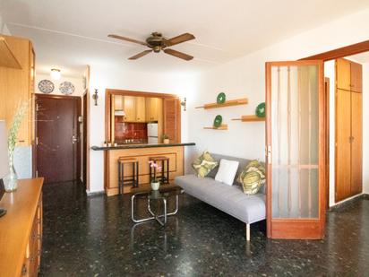 Living room of Apartment to rent in La Pobla de Farnals  with Furnished, Oven and Washing machine