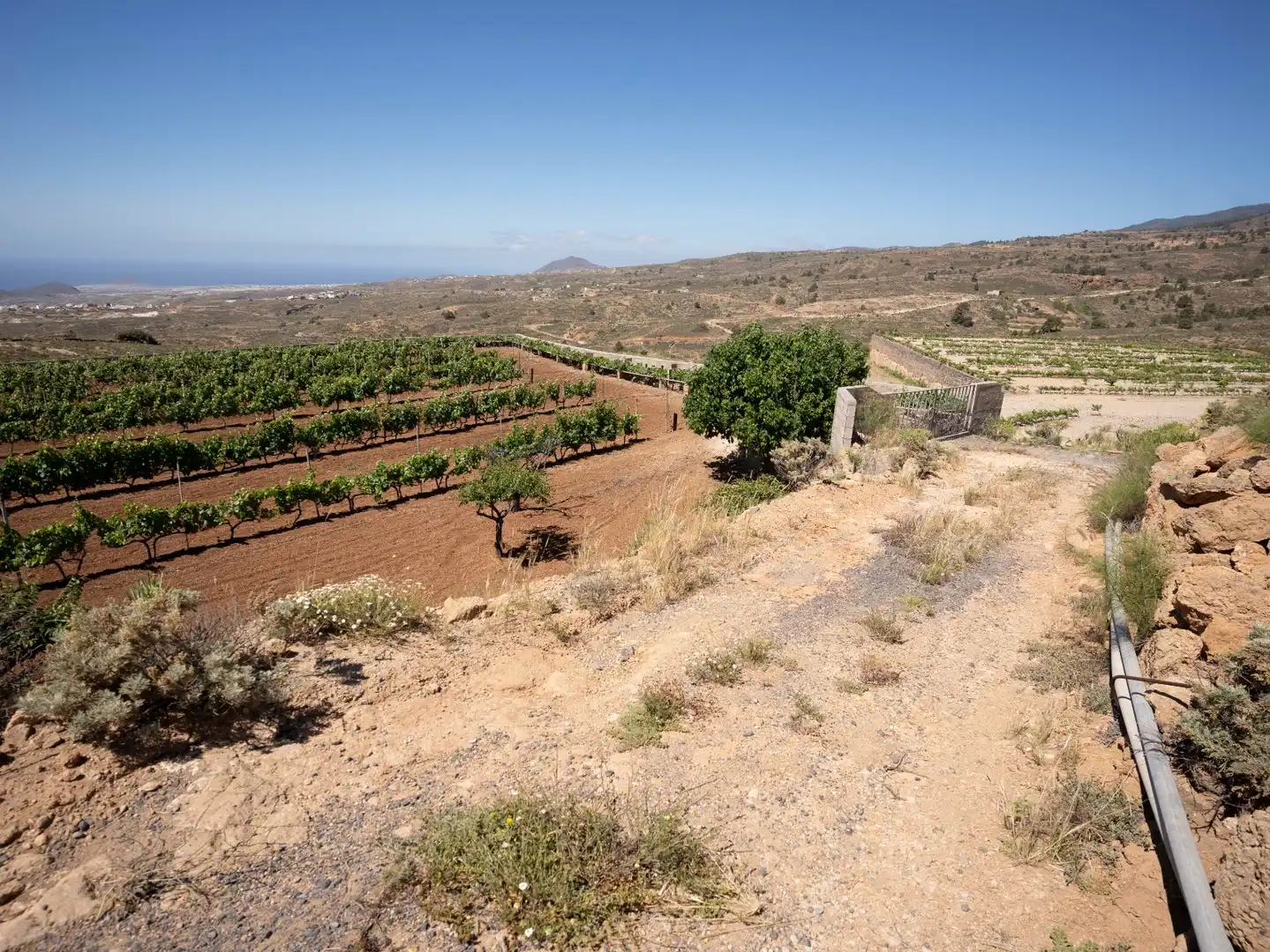 Terreno rustico in vendita a N/A, imagen 10
