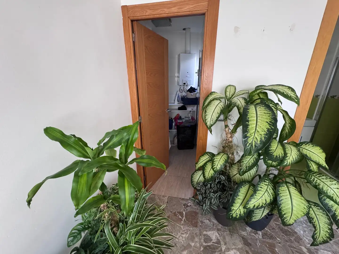 Villa avec terrasse à vendre à Centro, imagen 39