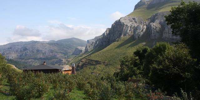 Finca rústica en Venta en Barrio CONCHA  en San Roque de Riomiera