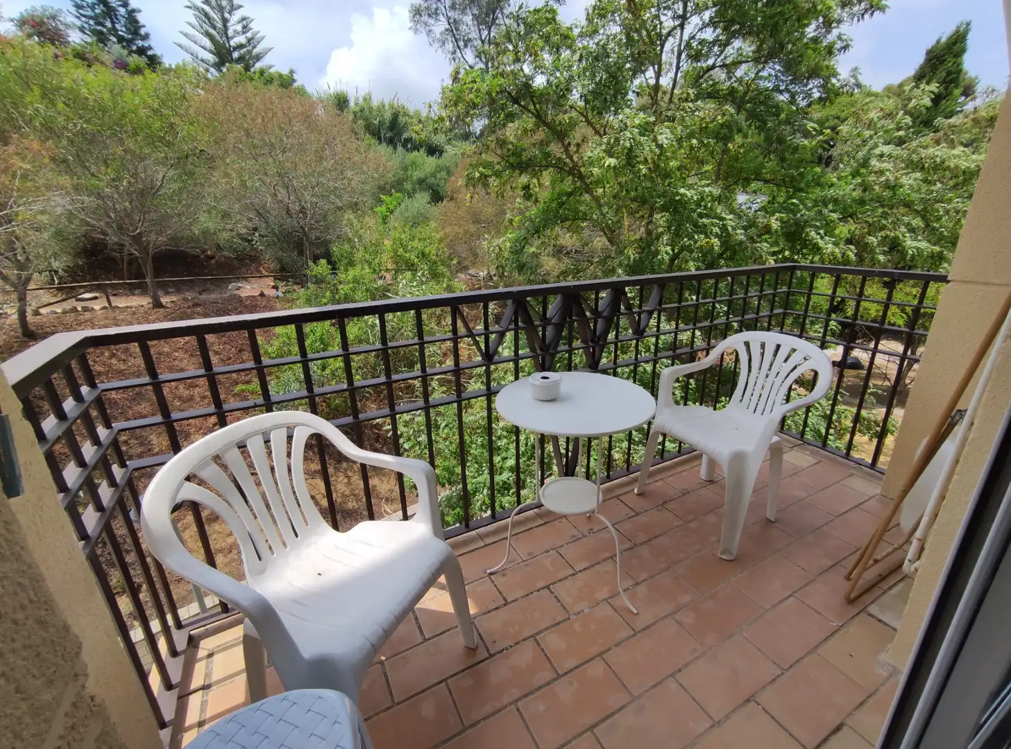 Piso con terraza en alquiler en Avenida Quinto Centenario