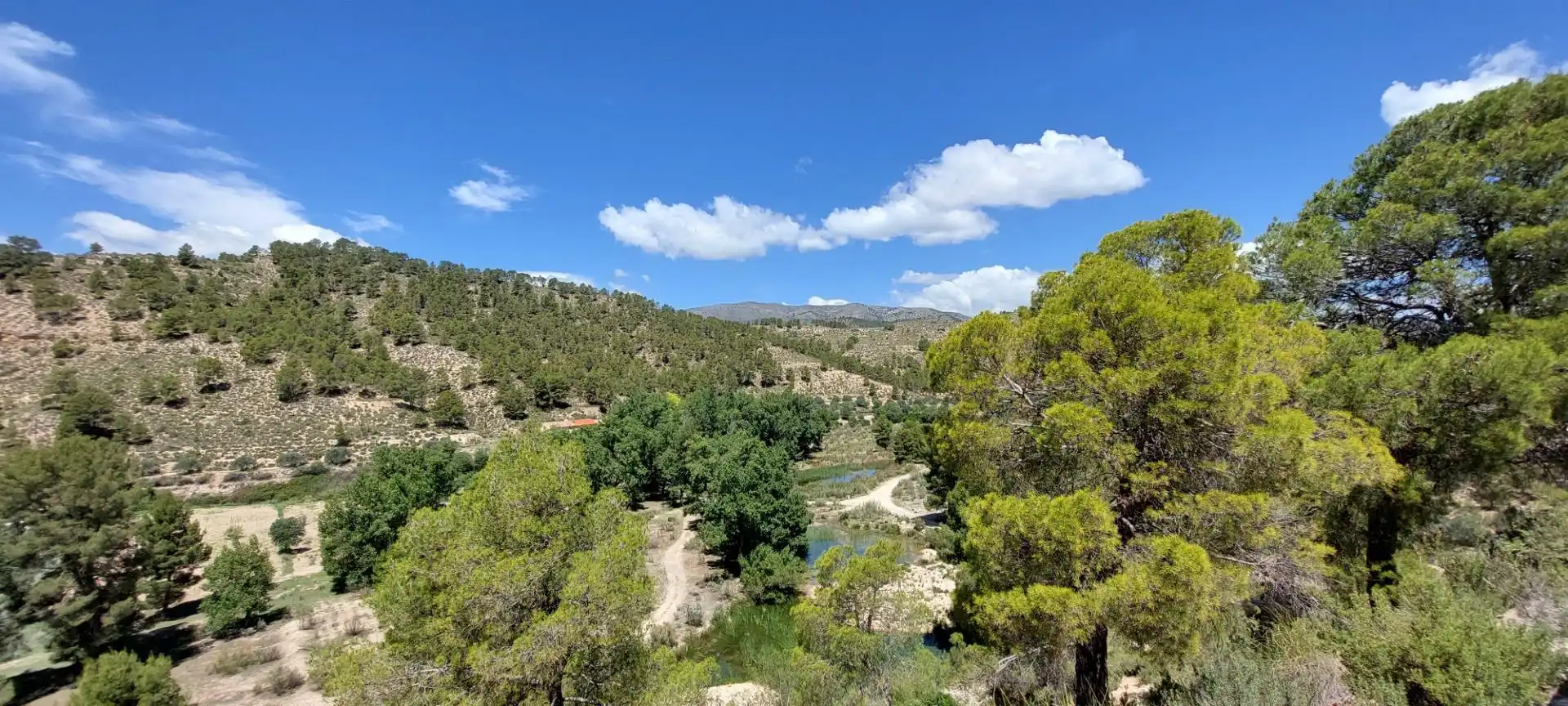 Vista exterior de Finca rústica en venta en Nerpio con Jardín privado, Terraza y Amueblado