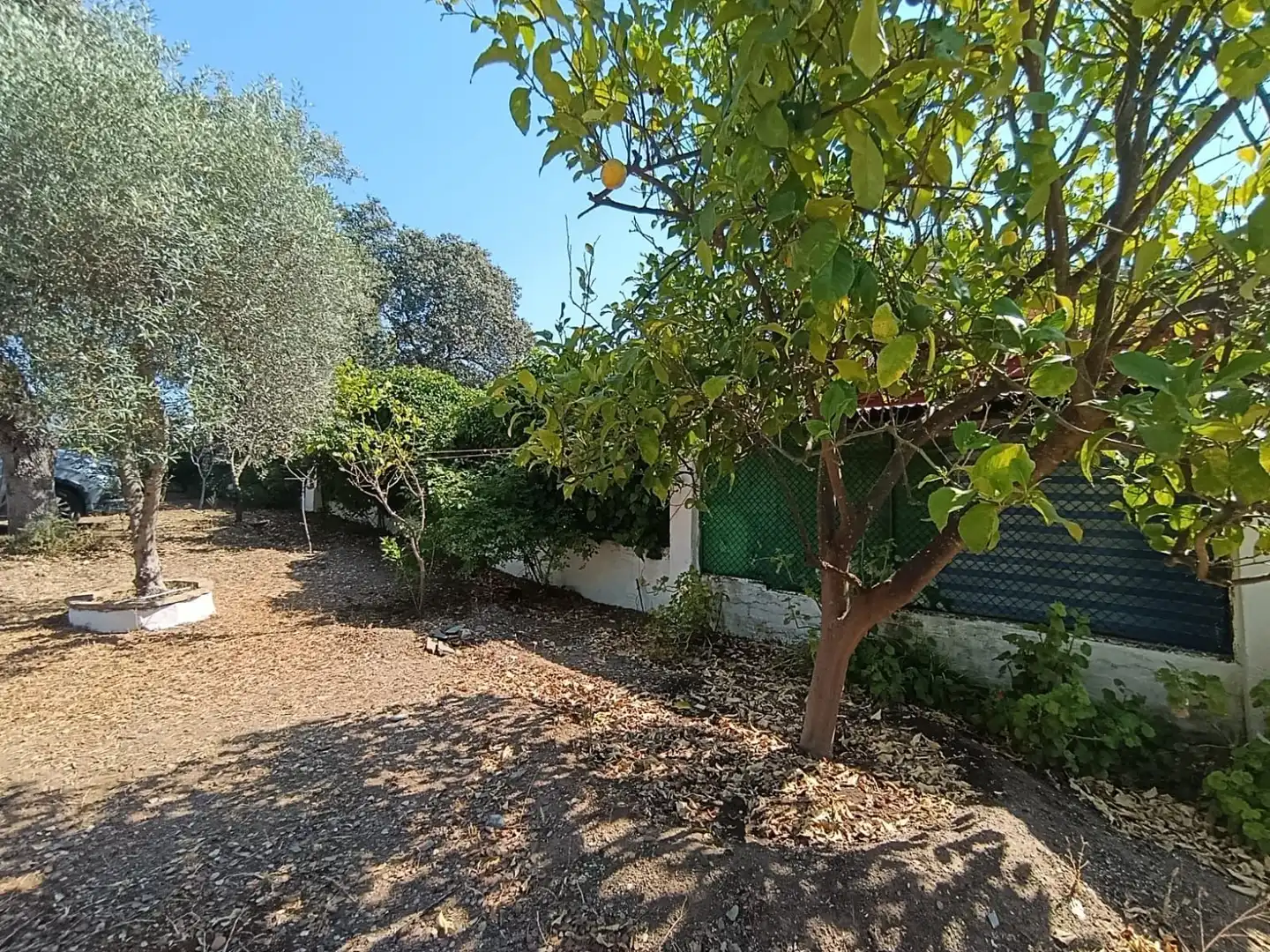 Casa o chalet en venta en Castilblanco de los Arroyos