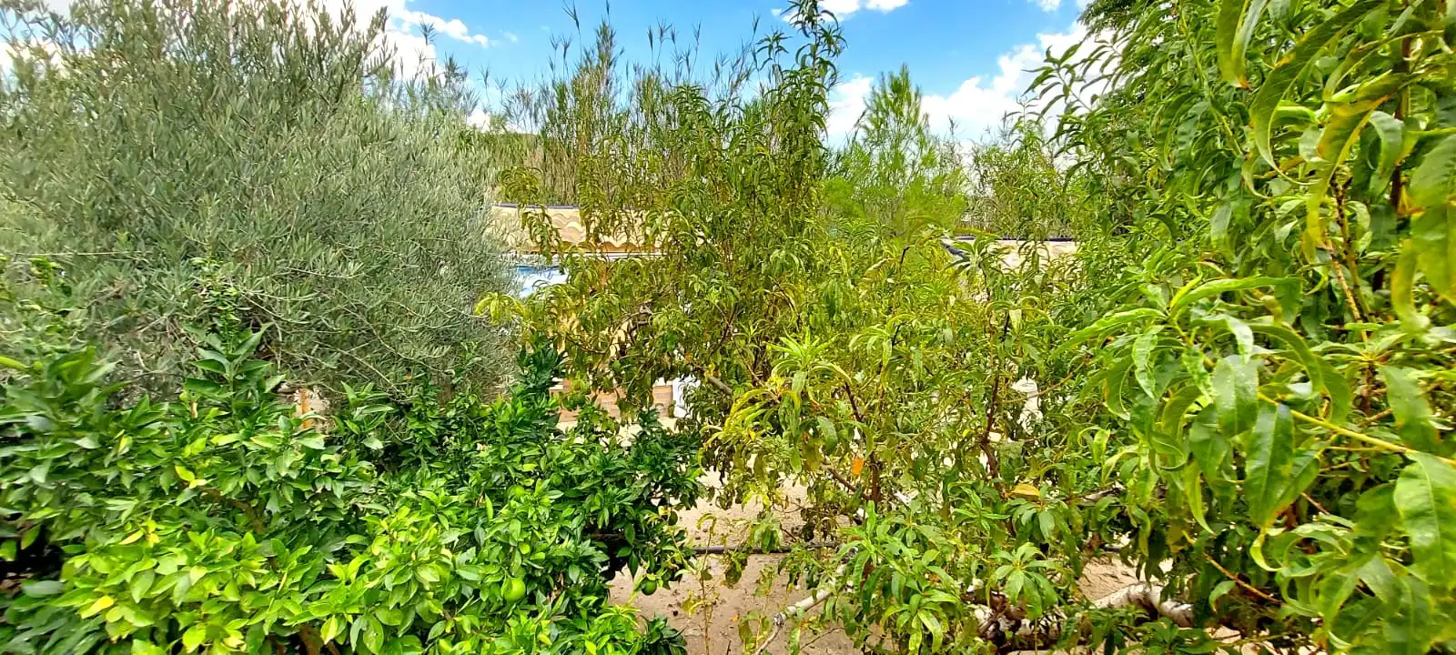 Chalet con terraza en venta en Calasparra, imagen 19