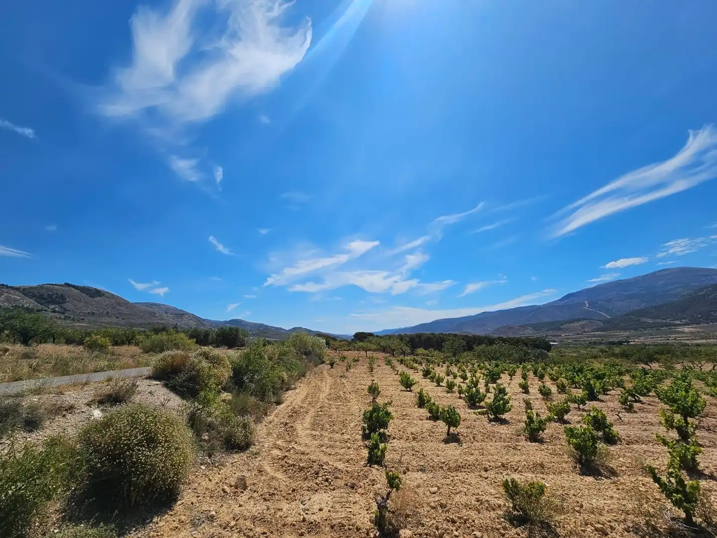 Finca rústica en venta en Laujar de Andarax
