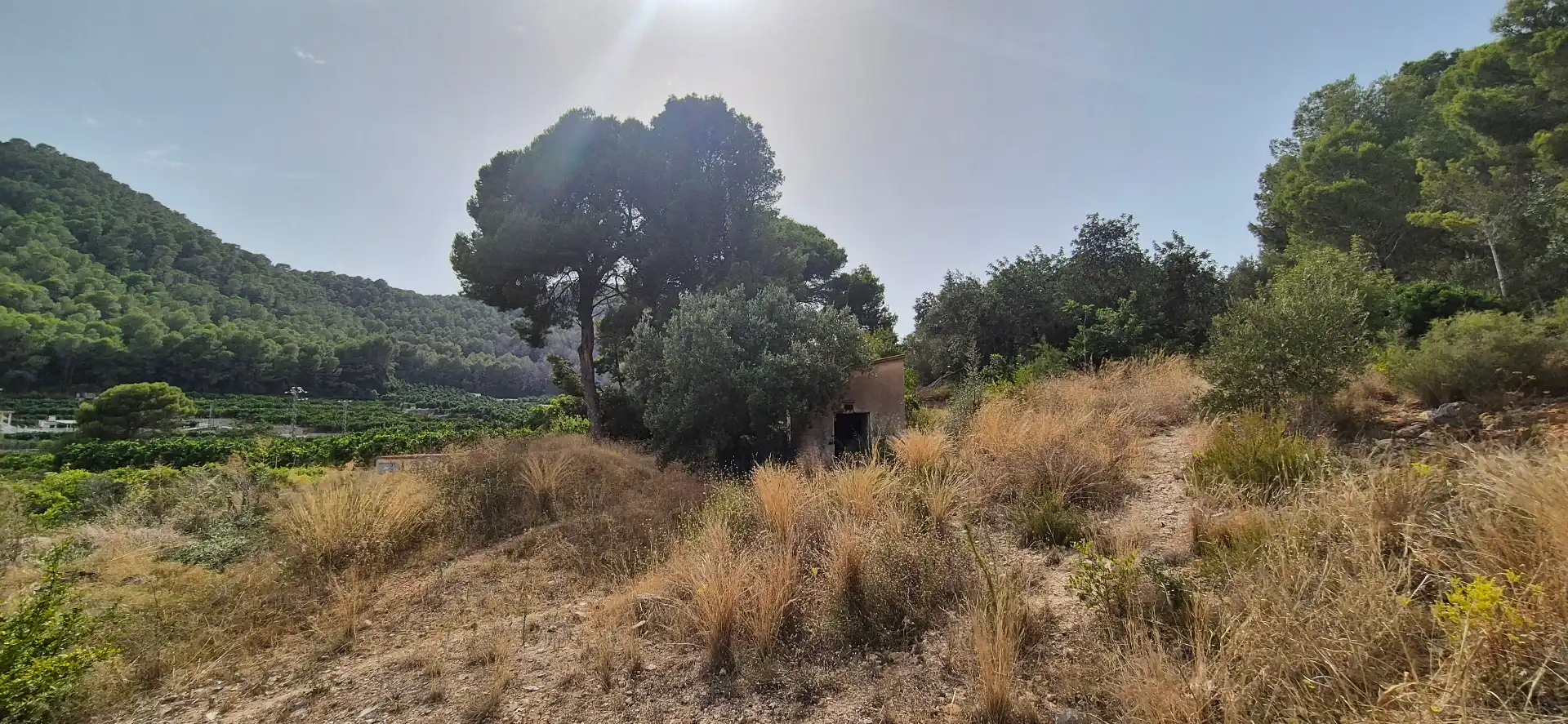 Finca rústica en venta en El Real de Gandia con Jardín privado, Terraza y Trastero