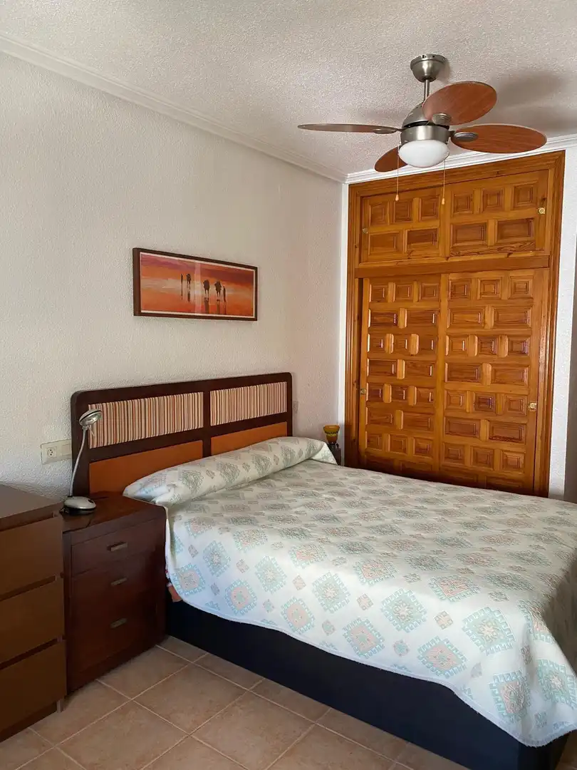 Apartments for rent in Calle TABARCA , 3, Playa Muchavista
